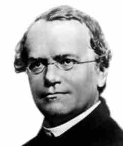 Gregor Mendel