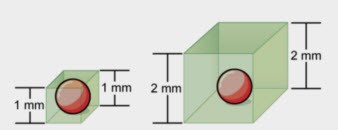 Surface Area to Volume Ratios