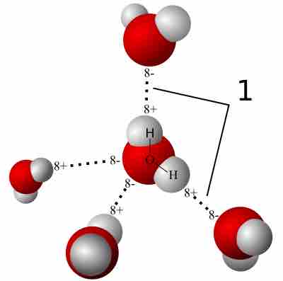 Hydrogen bonding in water