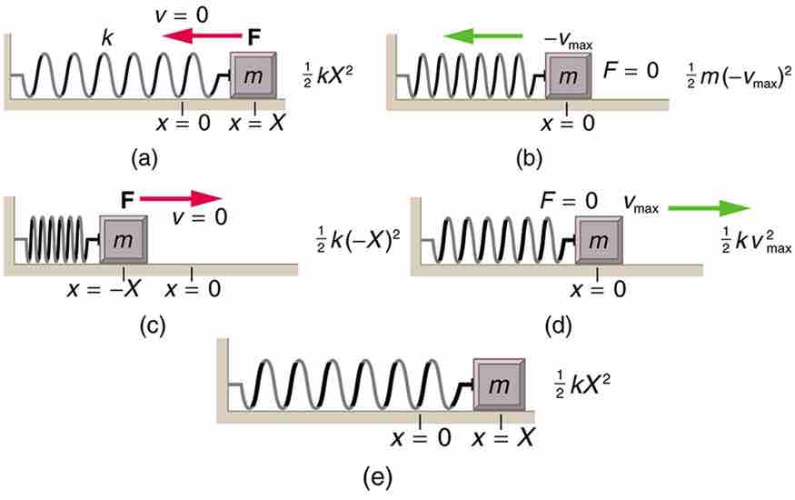 Energy in a Simple Harmonic Oscillator