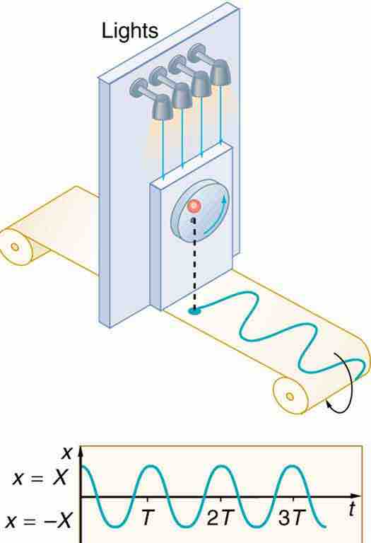 Sinusoidal Nature of Uniform Circular Motion