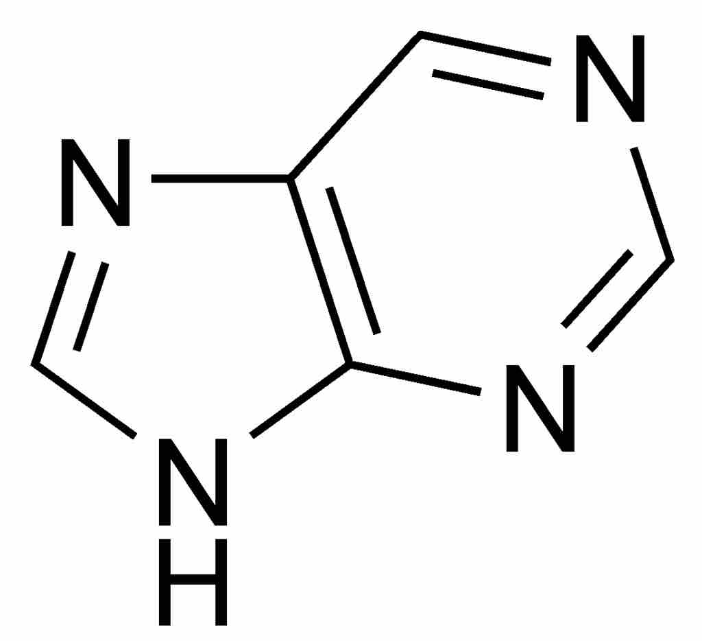 Purine Structure