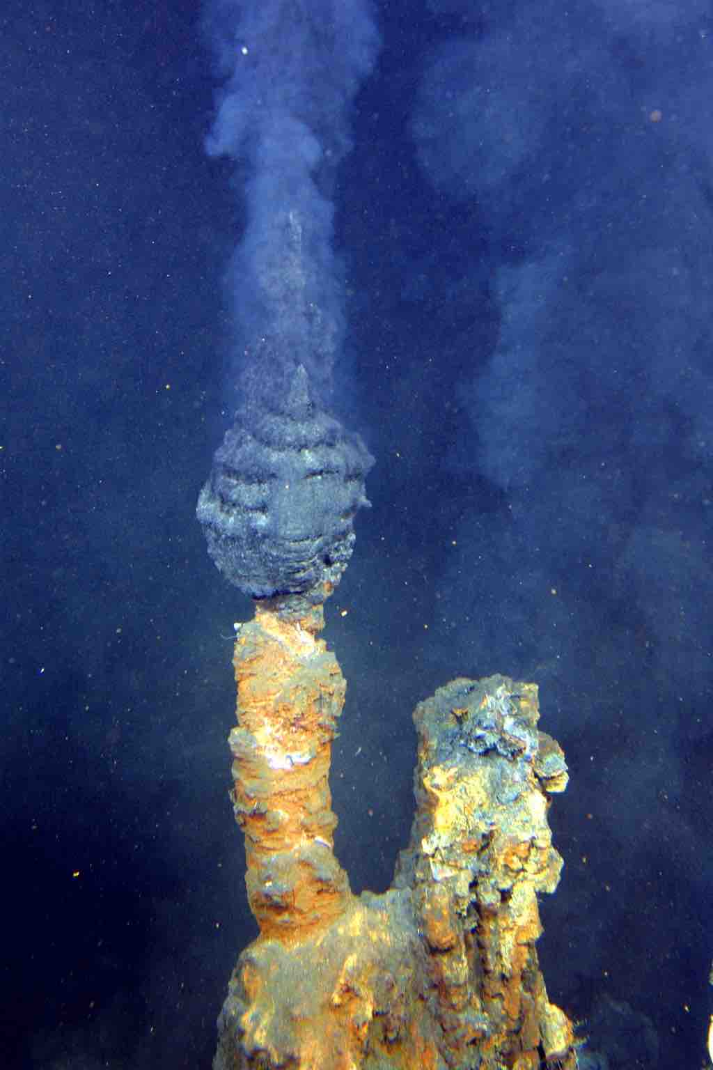 Hydrothermal Vents