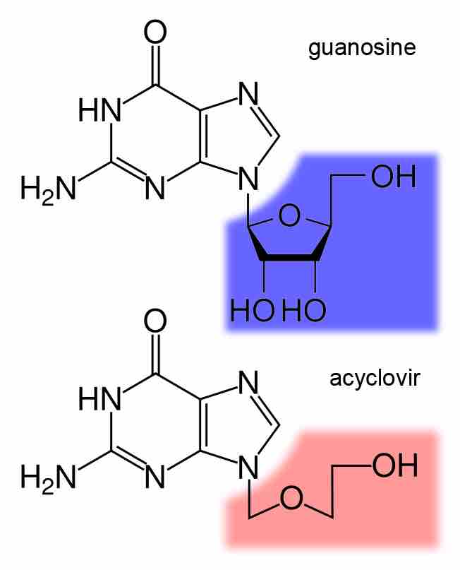 Comparison of acyclovir and guanosine