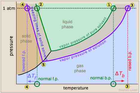 Effect of solutes on physical properties