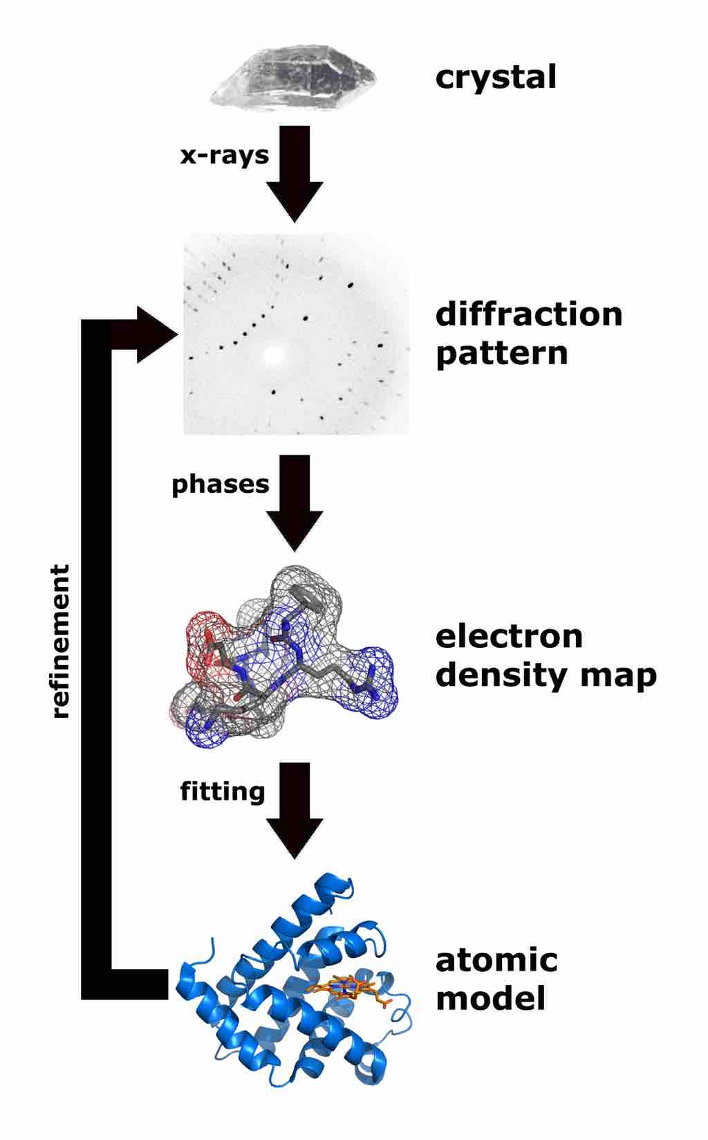 Structure determination by X-ray crystallography