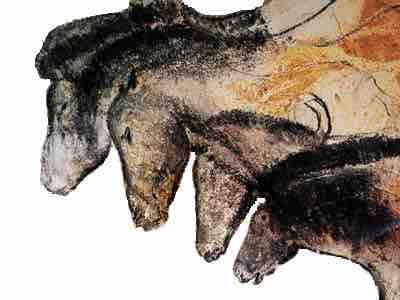 Drawings of horses from the Chauvet Cave in France