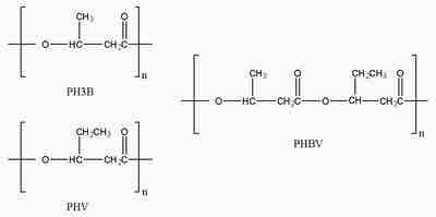 Chemical structures of P3HB, PHV and their copolymer PHBV
