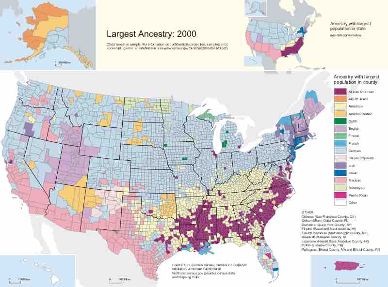 The American Public by Ancestry, 2000