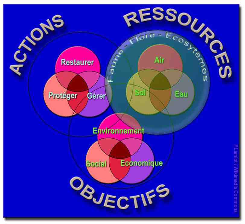 Graphic and colored representation of the interrelationships between main areas of sustainable development.