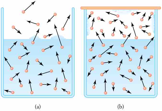 Vapor Pressure Diagram