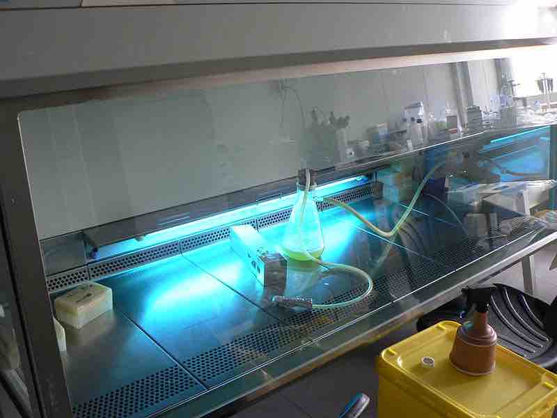 UV light used in the laboratory