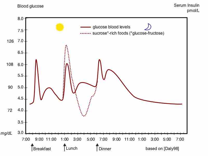 Homeostasis of Glucose Metabolism