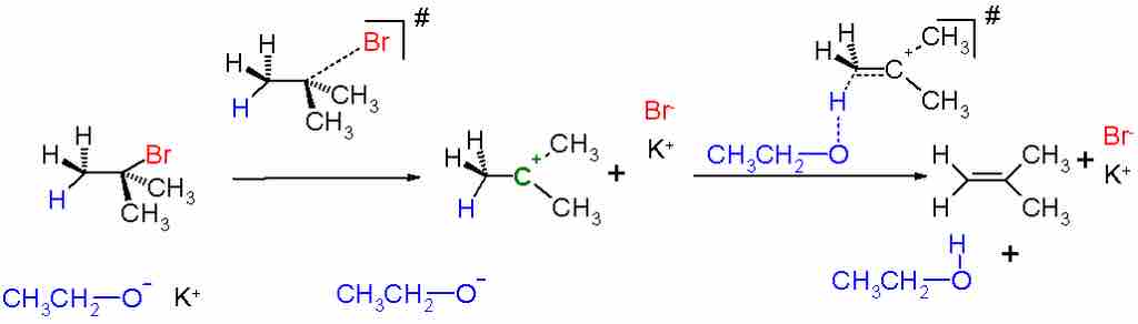 E1 Mechanism