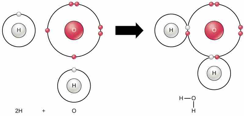 Atoms bond to form molecules
