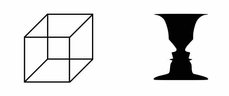 The Necker Cube and Rubin vase