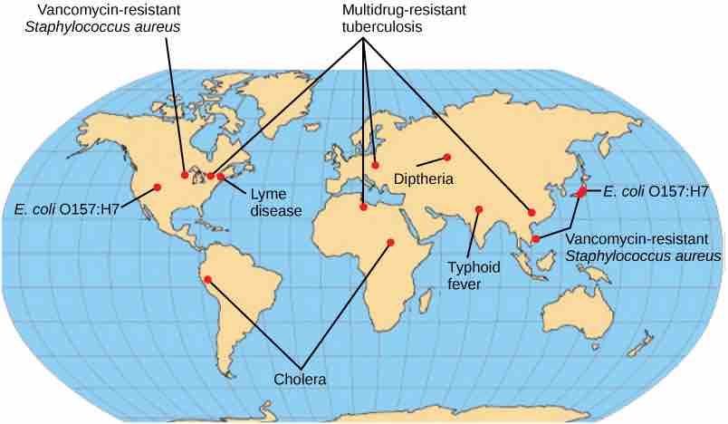 Regions of bacterial disease emergence
