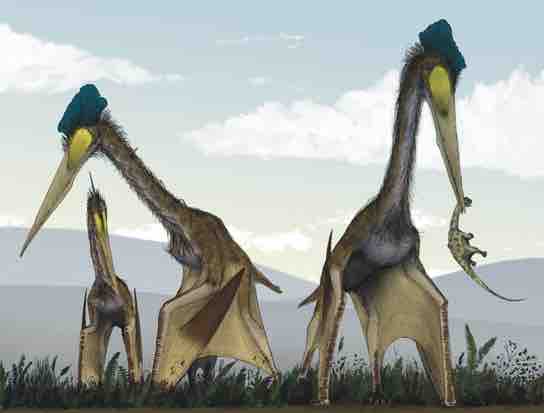 Pterosaurs