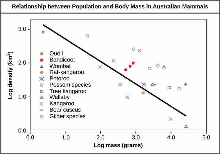 Population density is negatively correlated with body size