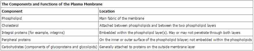 The Components and functions of the Plasma Membrane