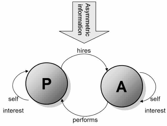 Principle agent problem