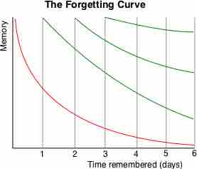 The forgetting curve of memory