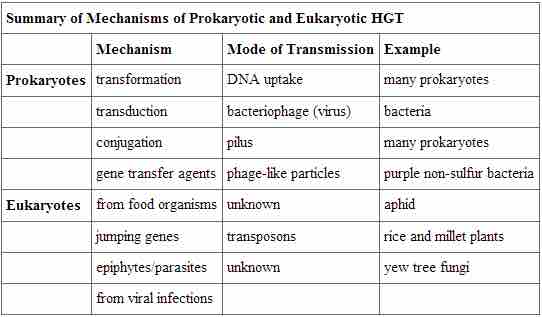 Mechanisms of prokaryotic and eukaryotic horizontal gene transfer