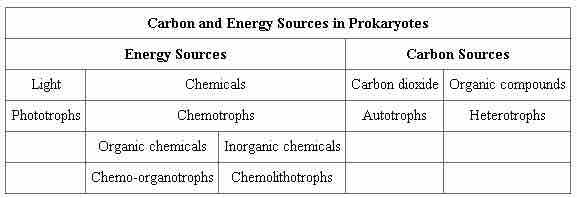 Table 1. Carbon and energy sources in prokaryotes