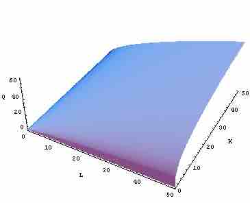 Cobb-Douglas Production Function