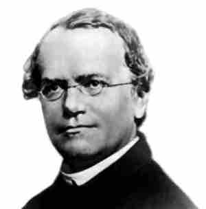 Gregor Mendel, the father of genetics