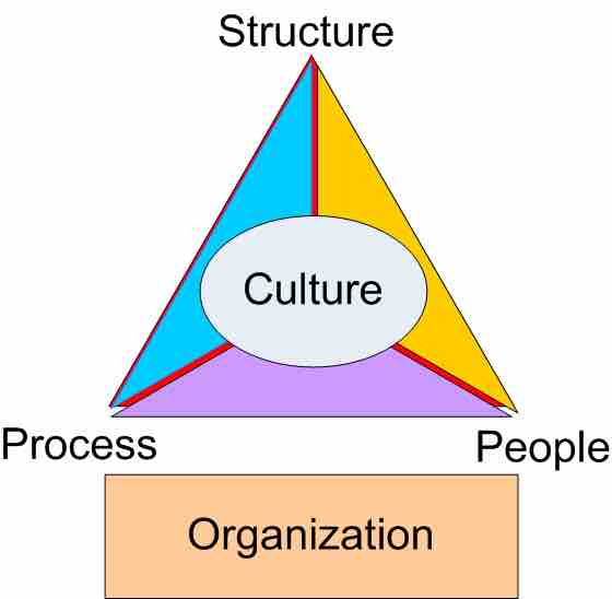 Organization triangle
