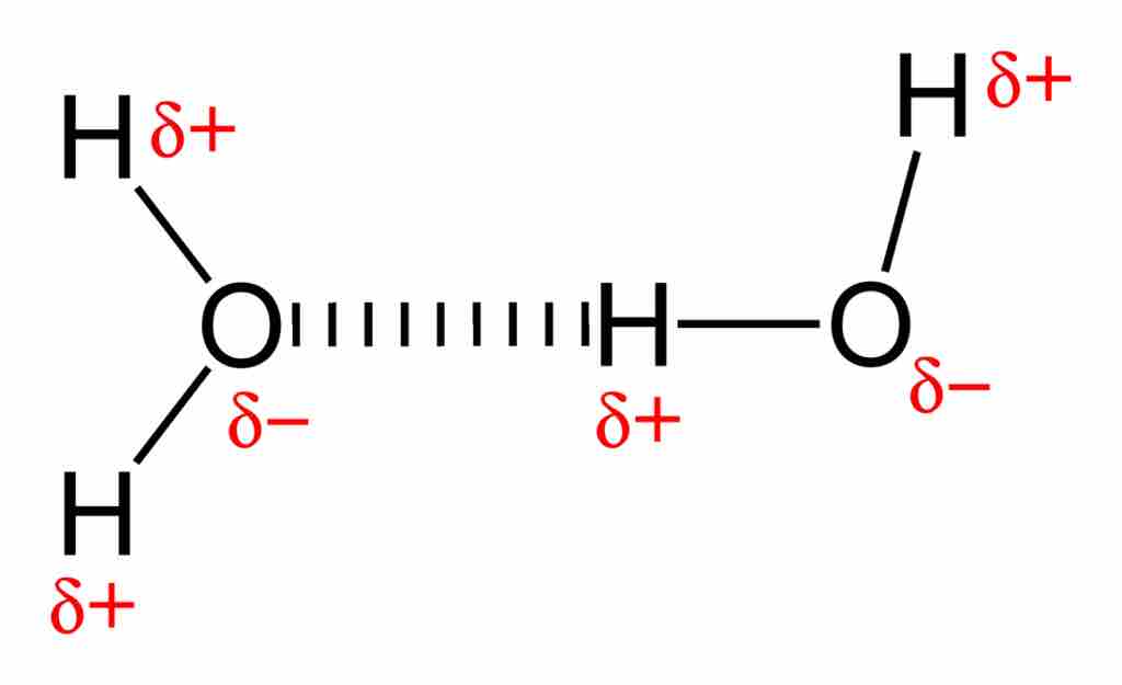 Dipole-dipole attraction between water molecules