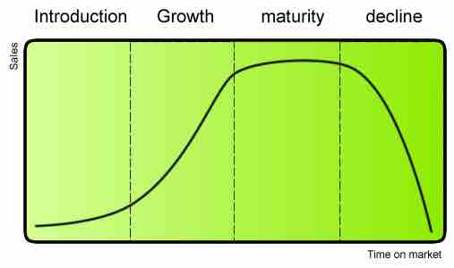 Firm Life Cycle