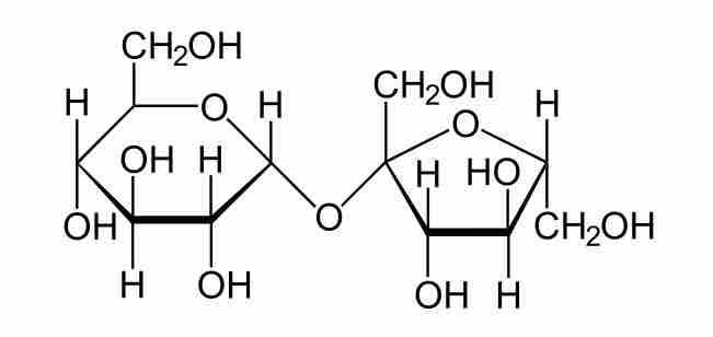 The molecule sucrose (common table sugar)