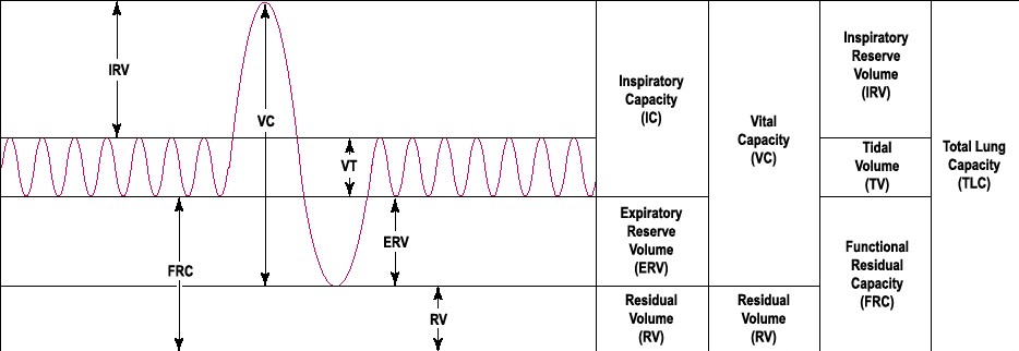 Spirometry curve