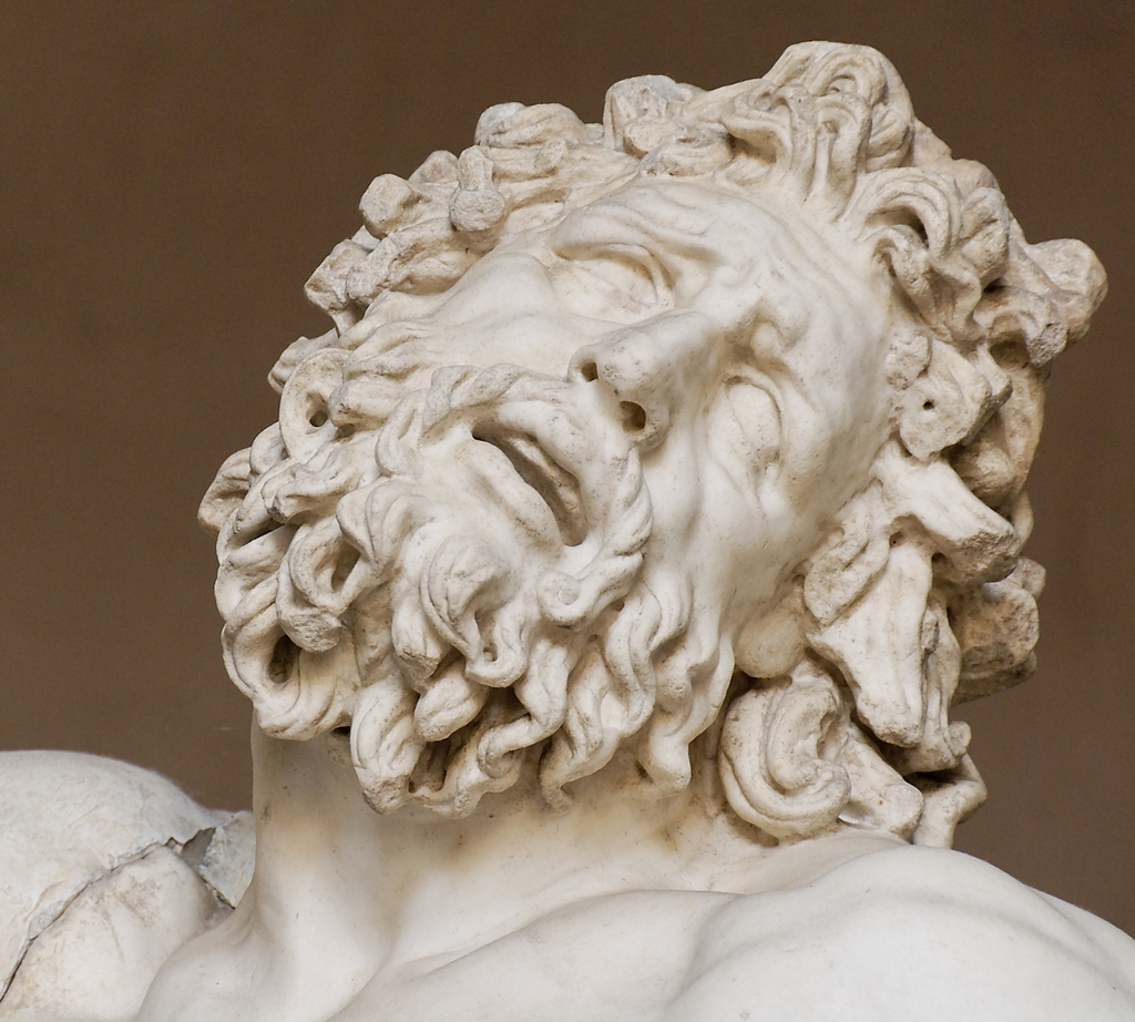 <em>Laocoön and His Sons</em> (detail of Laocoön’s face)