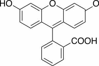 Fluorescein Molecule