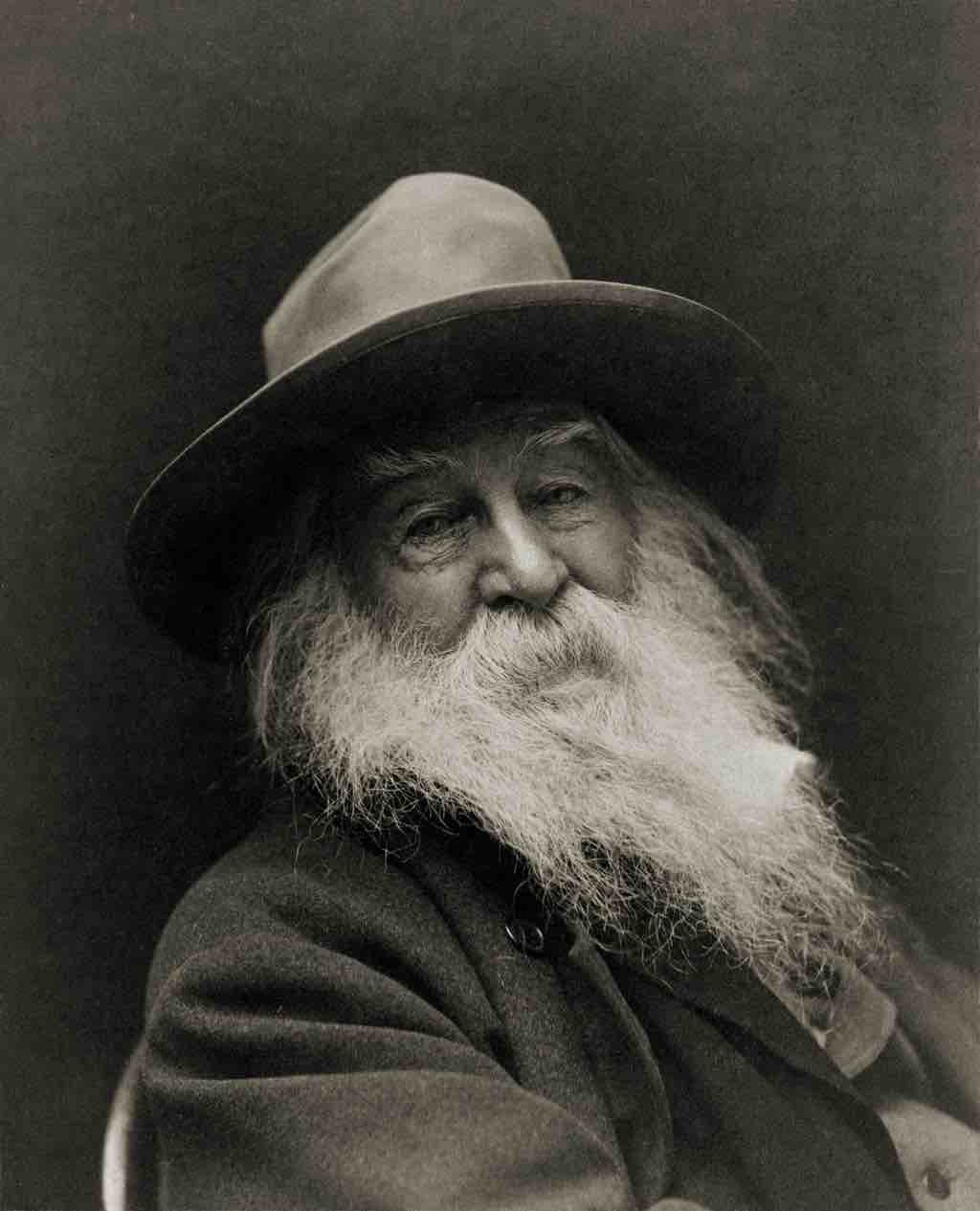 Walt Whitman, American poet and essayist