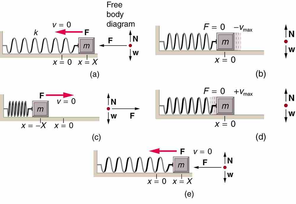 Motion of a mass on an ideal spring