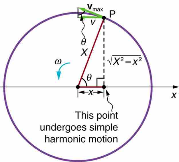 Projection of Uniform Circular Motion