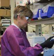 A CDC microbiologist prepares for the development of the Zika MAC-ELISA test. Like the Trioplex, the MAC-ELISA was developed by CDC for the Zika response. 