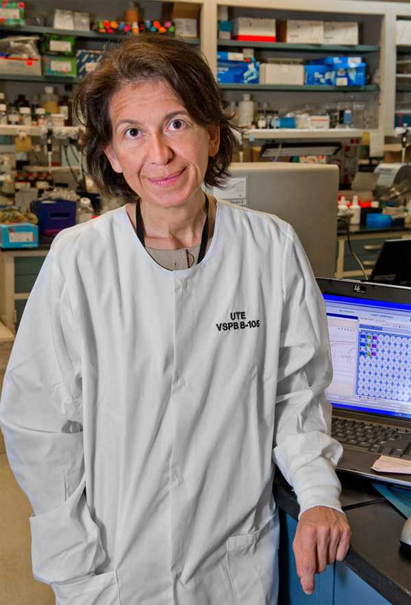 Photo: Ute, a CDC laboratory specialist, works on viruses like Ebola.