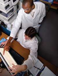 Two CDC information technology workers looking at computer screen