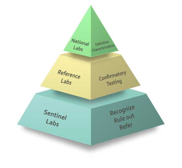Pyramid representing the Laboratory Response Network - National Labs (top), Reference Labs (middle) and Sentinel Labs (bottom)