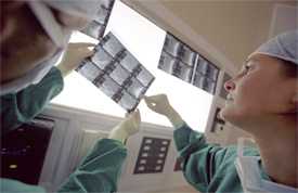 Two doctors holding multiple xrays up to a light board, working together to make a diagnosis