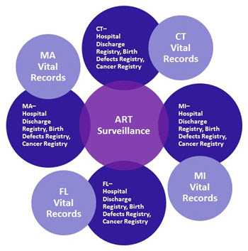 The purpose of this graph is to show that we link ART data with vital records from 3 states, which are, in turn, linked with other state-based surveillance systems and registries (hospital discharge registry, birth defects registry, cancer registry). 