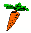 carrot