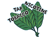 Tobacco plant