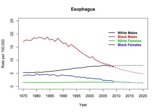 Graph showing actual and projected death rates for esophogeal cancer by race and sex, United States, 1975 to 2020