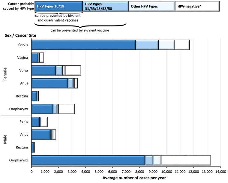 Stacked bar chart showing the average number of new cases of cancer in parts of the body where HPV is often found, and the number and percentage of cancers that are probably caused by HPV.